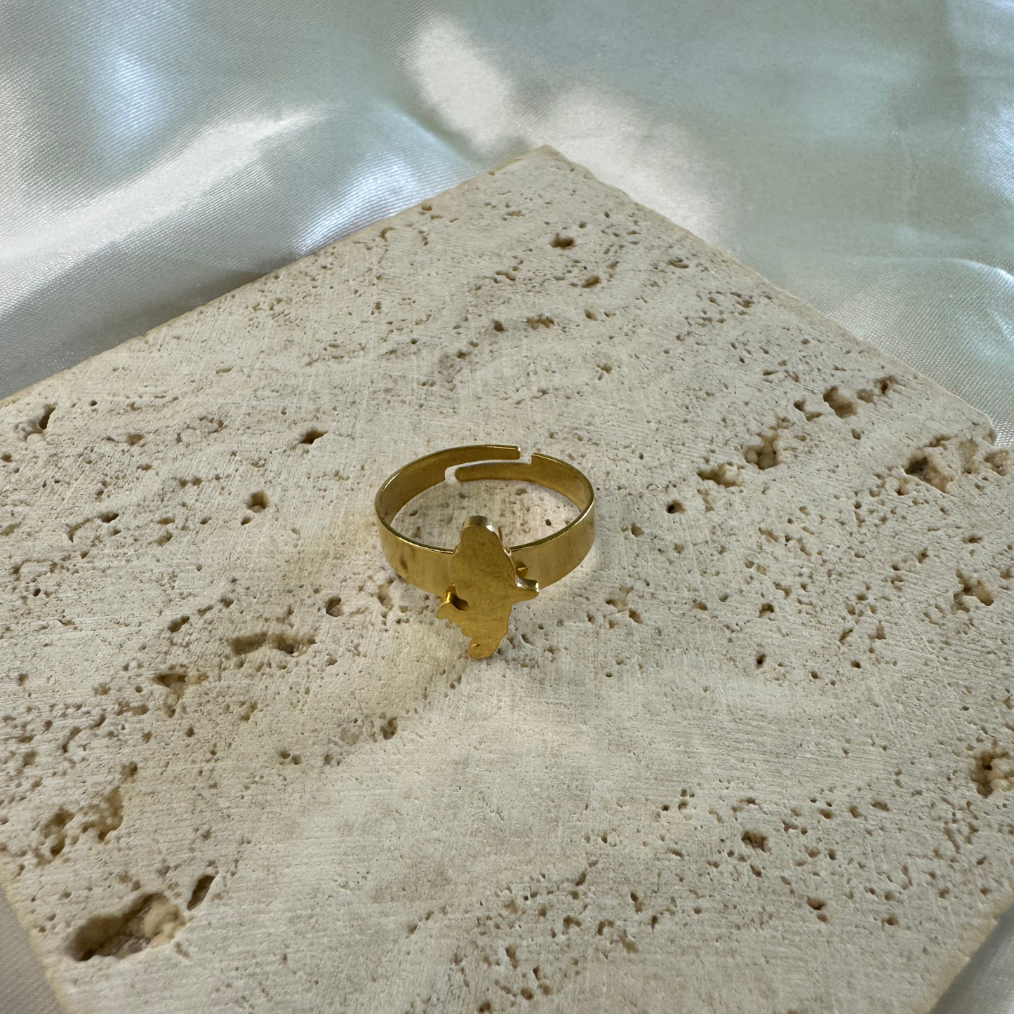 ring mit umrisskarte von martinique